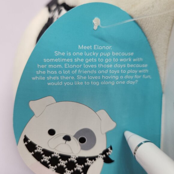 Squishmallow Elanor the Pirate Bulldog! 8”  NWT - Picture 7 of 12